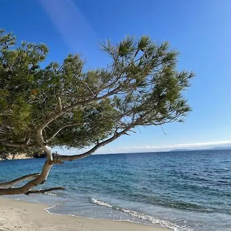 Apartment T2 Piscine Proche