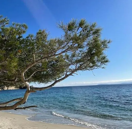 Apartment T2 Piscine Proche
